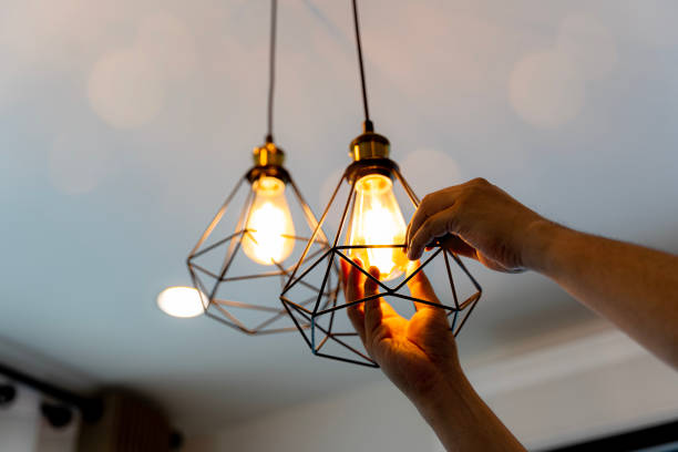 Best Electric Panel Repair  in Inverness, FL